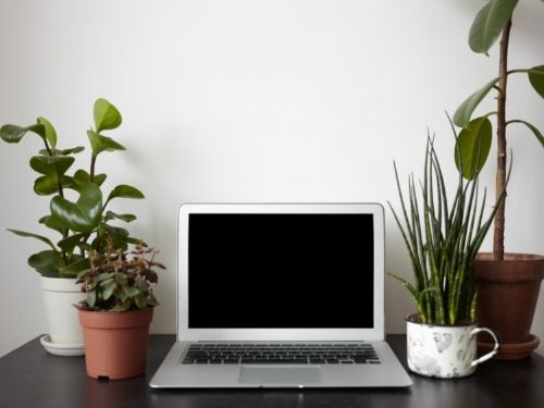 Bonus smart working 2021: a chi spetta?